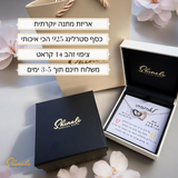 שרשרת לבבות מחוברים לנצח כסף טהור וציפוי זהב